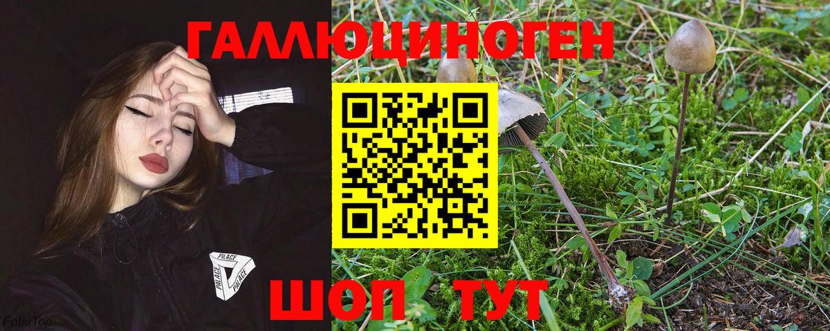 Алейск  Галлюциногенные грибы Magic Shrooms  Вход с VPN 