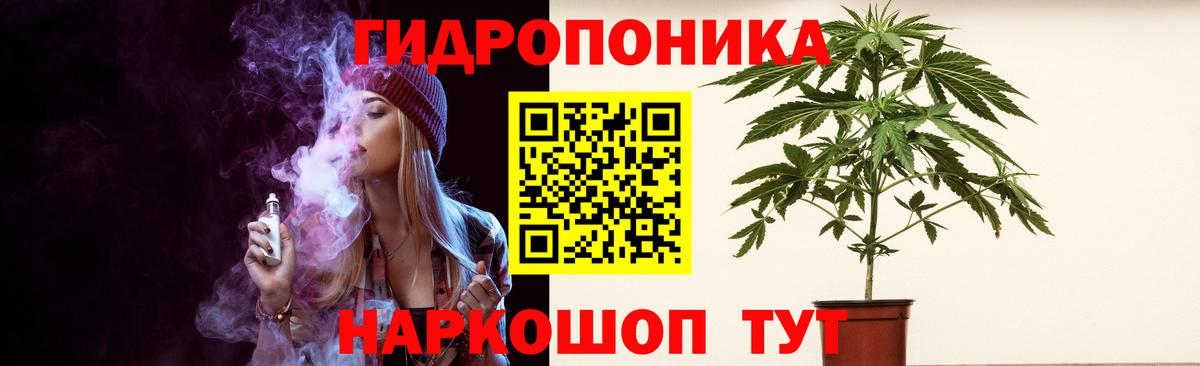Конопля марихуана Алейск